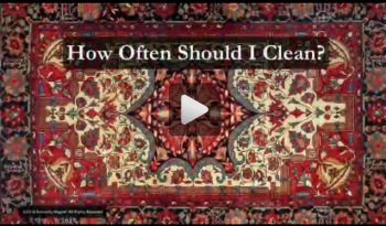 How Often Should I Clean