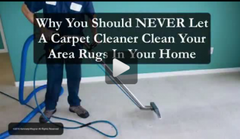 Why You Should NEVER Let A Carpet Cleaner Clean Your Area Rugs!
