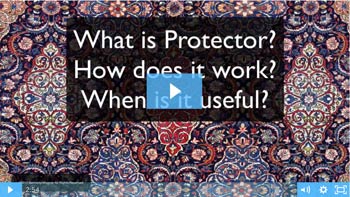 What is Protector?