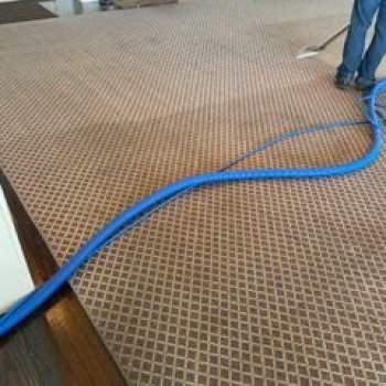 carpet cleaning 2